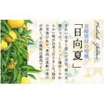 日向夏 種が少ない 2.5kg×2箱