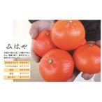 訳ありみはや 5kg