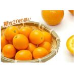 金柑 夢丸 200g×2パック