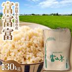 令和8年 富富富 玄米 30kg×1袋