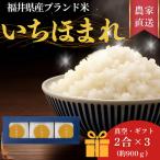 ブランド米 いちほまれ300g 2合