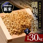 ふるさと納税 かすみがうら市 令和8年 新米 コシヒカリ 玄米30kg 湖山のかがやき | こしひかり お米 茨城県かすみがうら市