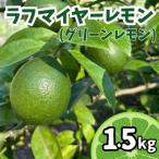 産ラフマイヤーレモン 1.5kg