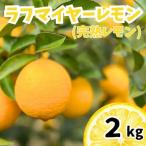 産ラフマイヤーレモン 2kg