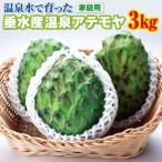 垂水産温泉アテモヤ 3kg