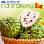 A1-22567 垂水産温泉アテモヤ 1kg