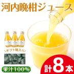 河内晩柑ジュース8本セット_I834