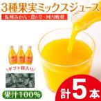 3種果実ミックスジュース 温州みかん 農6号