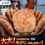 大大 毛がに 冷凍 660g前後×1