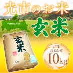のお米 玄米 10kg