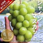 ハウス栽培 産シャインマスカット 6房 約3.6kg