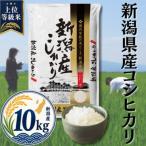 コシヒカリ10kg 5kg×2袋