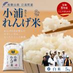 小浦れんげ米 にじのきらめき 精米 白米 5kg