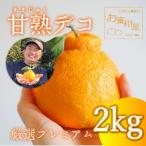 完熟しらぬい 甘熟デコ 黒の化粧箱 厳選プレミアム 2kg