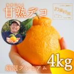 完熟しらぬい 甘熟デコ レギュラー箱 厳選プレミアム 4kg