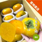 たねなし柿 訳あり 1kg