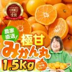 極甘 甘~い 完熟 温州みかん みかん丸 品種おまかせ 1.5kg