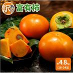 ふるさと納税 朝倉市 【訳あり】富有柿 約4.8kg(18〜24玉)【2026年11月下旬より発送予定】