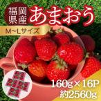 うるう農園のあまおう MLサイズ 約160g×16パック