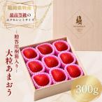 あまおう 極 重箱1段 9粒