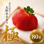あまおう 極 大粒 約80g~