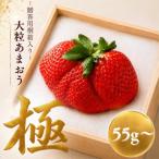 あまおう 極 大粒 約55g~