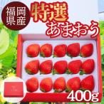 うるう農園の用あまおうEX 400g