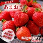 うるう農園のあまおう 2Lサイズ 約220g×10P