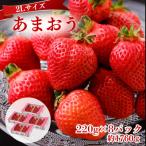 うるう農園のあまおう 2Lサイズ 約220g×8P