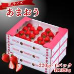 うるう農園のあまおう 2Lサイズ 約220g×6P