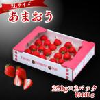 うるう農園のあまおう 2Lサイズ 約220g×2P