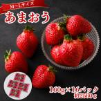 うるう農園のあまおう MLサイズ 約160g×16P