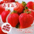うるう農園のあまおう 2Lサイズ 約220g×10P