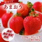 うるう農園のあまおう 2Lサイズ 約220g×8P