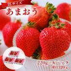 うるう農園のあまおう 2Lサイズ 約220g×6P