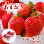 うるう農園のあまおう 2Lサイズ 約220g×4P