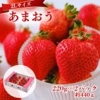 うるう農園のあまおう 2Lサイズ 約220g×2P