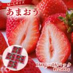 うるう農園のあまおう MLサイズ 約160g×16P