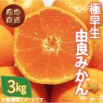 はるみ 約3kg