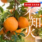 不知火5kg