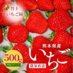 白いちご 淡雪 約500g