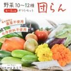 野菜10~12種セット 団らん 爽やかな甘みとコク 葉物 根菜 その他詰め合わせ