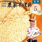 令和8年度産 新米 特別栽培米 丹の国穂まれ