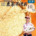 令和8年産 棚田米 玄米 10kg