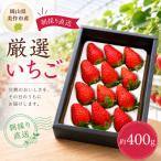 厳選いちご 約400g