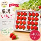 厳選いちご 約400g×2パック