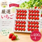 厳選いちご 約400g×4パック