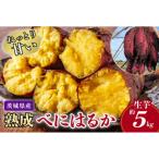 ねっとり甘い 熟成紅はるか さつまいも 約5kg