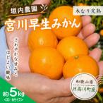 青い極早生みかん YN26 約5kg