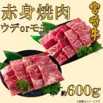 宮崎牛赤身焼肉 ウデorモモ 約600g
